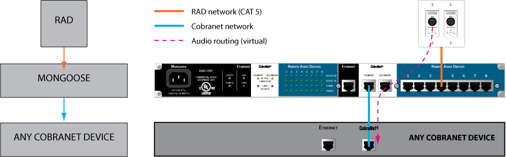 RAD to and from CobraNet